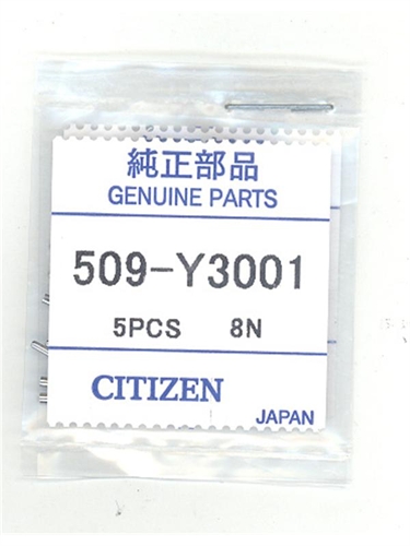 Citizen 509-Y3001 watchband