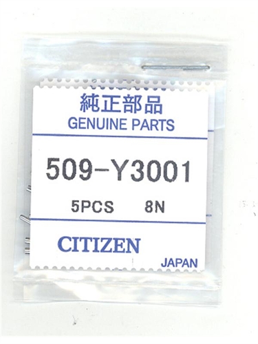 Citizen 509-Y3001 watchband