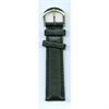 WBTG AU00498N watchband