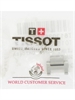 Tissot T613025817 watchband