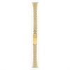 WBTG AU00461N watchband