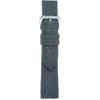 WBHQ AU01650N watchband