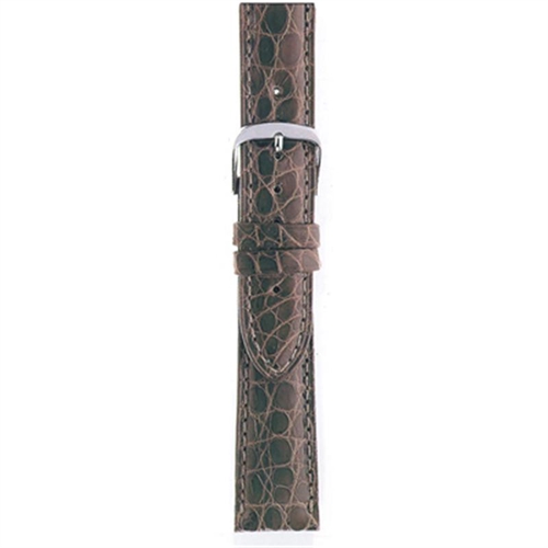 WBHQ AU01717N watchband