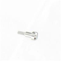Screw for PAG-40-3V & SPF-40 10049113