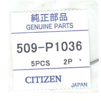 Authentic Citizen Pins watch band