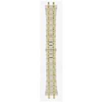 Authentic Citizen 24mm Gold/Silver Two Tone watch band